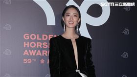 桂綸鎂 金馬獎（圖／記者邱榮吉、楊澍攝影）