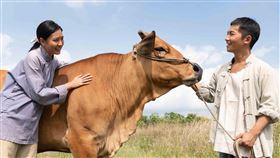 《牛車來去》安心亞、蔡昌憲、楊烈、游安順、米可白、楊子儀（圖／公視、禾豐製作提供）
