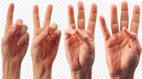 ▲12生肖的幸運數字都有哪些？趕快記下來為自己帶來好運！（示意圖／翻攝自pixabay）