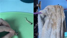 中國山東一名高中生衛生習慣超差，床板竟長出蘑菇。（圖／翻攝自《起點新聞》）