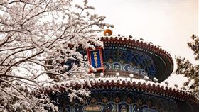 ▲雪（圖／翻攝自pixabay）