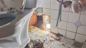 鄰居抓漏竟打穿牆。（圖／翻攝自《爆料公社（官方粉專專屬）》）