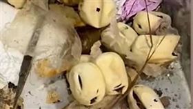 詭異「白蘑菇」長牆角！她剝開一看嚇傻