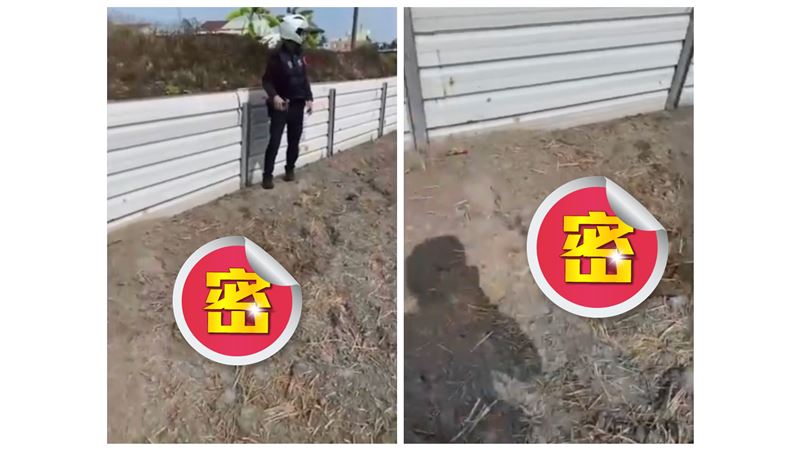 高雄田裡驚見龐然大物！路人走進看傻爆眼