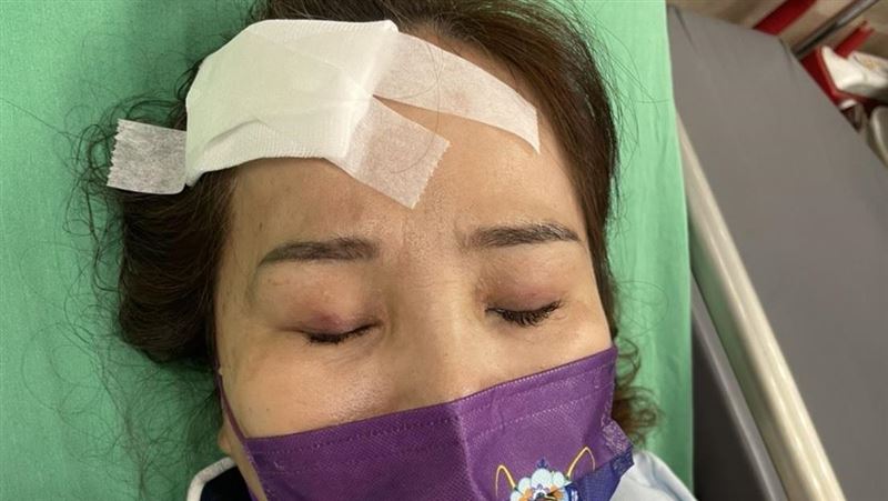 林婕麗太吵遭暴打致重傷？新黨還原現場