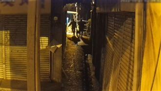 獵殺「國寶」山羊賄選　台中女候選人被逮