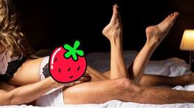 強力膠,森林,印度,拉賈斯坦邦,烏代浦市,偷情,謀殺（示意圖／shutterstock)）