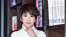 資深主播陳雅琳將連續4小時主持開票新聞報導。（圖／翻攝陳雅琳主播）