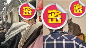 筷子,髮簪,頭髮,女生,捷運