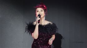 金曲台語歌后張秀卿出道超過四十年，憑著深情唱腔及動人歌聲在歌壇闖出一片天。11/24~25在寶吉祥集團邀約下，帶領美聲王子林俊逸、陽光男聲郭忠祐、爵士名伶方雅賢及寶吉祥歌手顏伶安在台北國際會議中心登台，參加「歌之饗宴6彩虹演唱會」的演出 寶吉祥集團提供