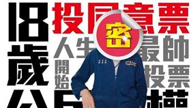 林右昌聲援18歲公民權，曬出年輕帥照引發網友熱議。（圖／翻攝自林右昌臉書）