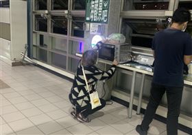 苗栗,車站,烤箱,大媽(圖/翻攝自「路上觀察學院」)
