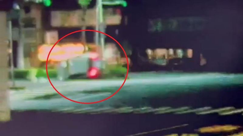 高雄男酒駕撞翻車　寵物狗嚇衝出車外被撞