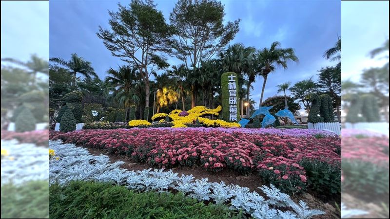 士林官邸菊展登場　一同歡慶20週年！