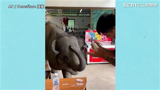 小象鞠躬要奶喝　網：工讀生出來