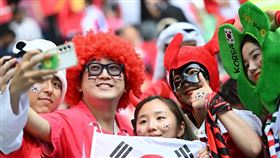 ▲卡達世界盃韓國隊球迷。（圖／取自AFC FB）