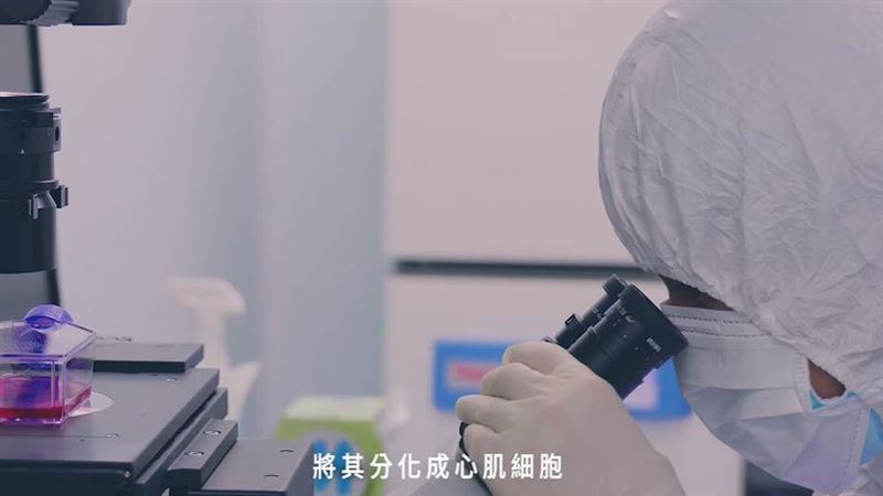 心肌細胞大突破！第3代心肌層片登場