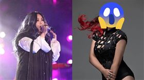 張惠妹。（圖／翻攝自臉書）