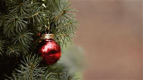 耶誕樹、聖誕節（示意圖／翻攝自Pixabay）