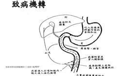 副傷寒致病機轉。（示意圖／翻攝自疾管署官網）