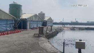 返鄉投票傳憾事！2歲童跌落魚塭　昏迷4天