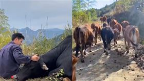 （圖／翻攝自大風視頻）