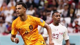 ▲Cody Gakpo（哈克波）進球幫荷蘭隊擊敗卡達。（圖／取自FIFA FB）