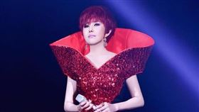 江蕙因長期受暈眩症纏身，2015年決定封麥引退。（圖／翻攝自臉書）