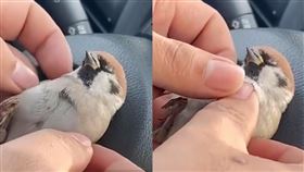 （圖／翻攝自大象新聞）