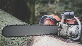 ▲大陸男子砍伐自家種植的林木，慘遭判刑。（示意圖／Pixabay）