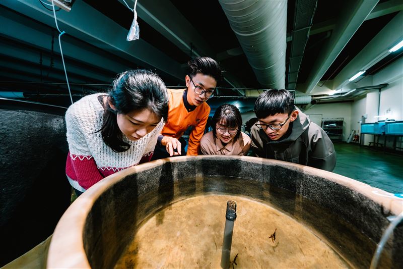 屏東海生館喜迎館魚寶寶！