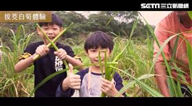 蕃婆林農場(業配勿用)