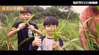 三芝蕃婆林農場　賞花品鮮蔬　樂採茭白筍