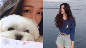 粉絲數,里長,陳紫渝,IG