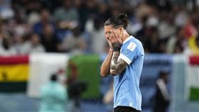 ▲烏拉圭新生代前鋒努涅斯（Darwin Nunez），將很有可能會成為未來看板人物。（圖／美聯社／達志影像）