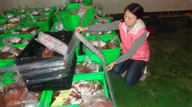 排泄物,羽毛,鴨血,新北市衛生局,彭光謚,彭大展