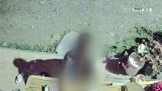 「男賊扮女裝」偷高跟鞋　遭判拘役又犯案