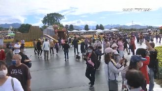 台中花毯節開園首日　逾千人湧進拍美景