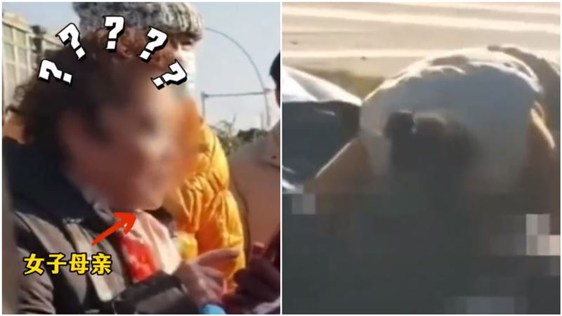 女兒當街撫屍哭喊「媽媽」　下秒媽媽來了