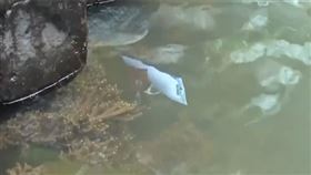 （圖／翻攝自央視新聞）