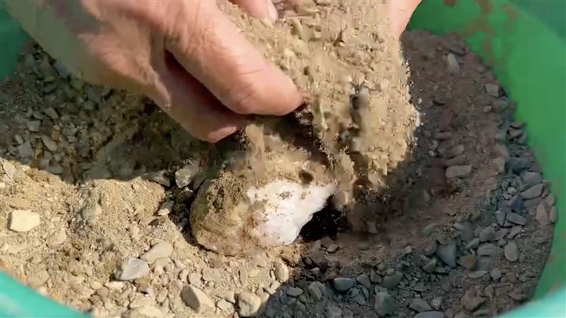 破案！台南大廟被埋生雞腿　男落網吐3字