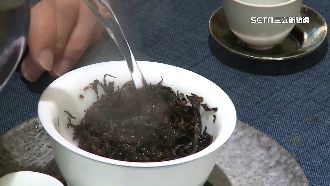 雨量少茶葉減產！冬茶價格恐上漲1到2成