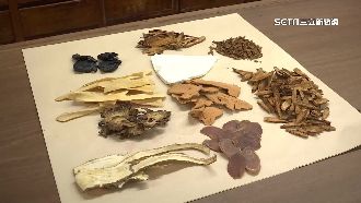 「大雪」有感濕冷！抓十全藥材燉湯暖補身