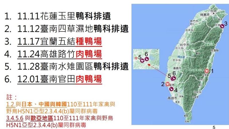 新／國內3家鴨場驗出H5N1禽流感