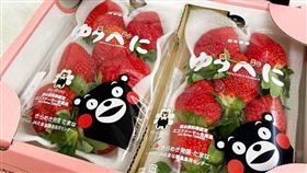 「RealShop 真食材本舖」日本空運熊本福岡長崎佐賀草莓禮盒，即日起-12╱10活動價1177元(2入組)。（圖／平台業者提供）