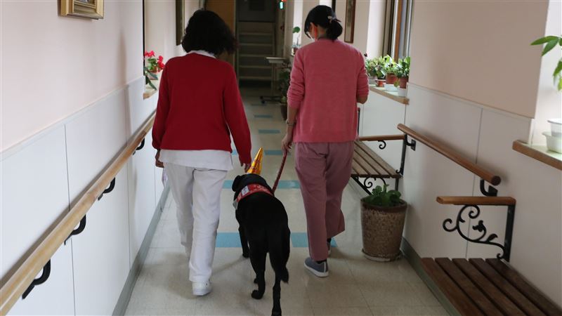 「輔助治療犬」現身安寧病房　患者笑了