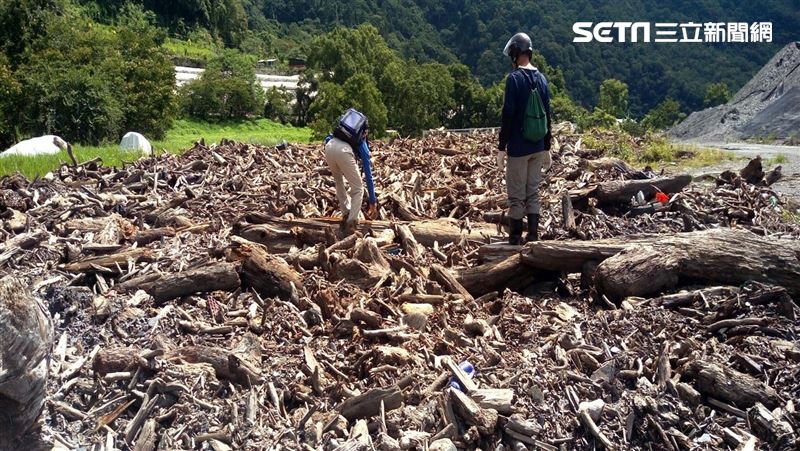 雲林海岸線開放撿拾漂流木　相關規定曝光