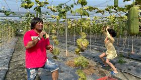 巴大雄(民視提供)
