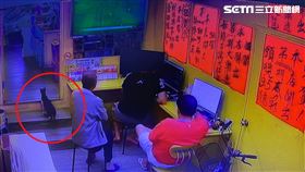 鑫來旺彩券行，南投埔里，頭獎大滿貫，今彩539，招財貓上門，800萬頭獎，神秘黑白花貓 (圖／鑫來旺彩券行提供)