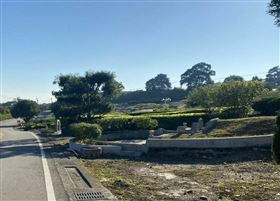 台中新社第七公墓（圖／翻攝畫面）